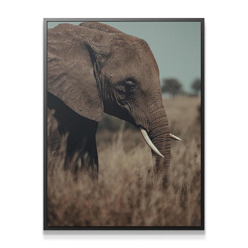 A Tall Moment - Image 5