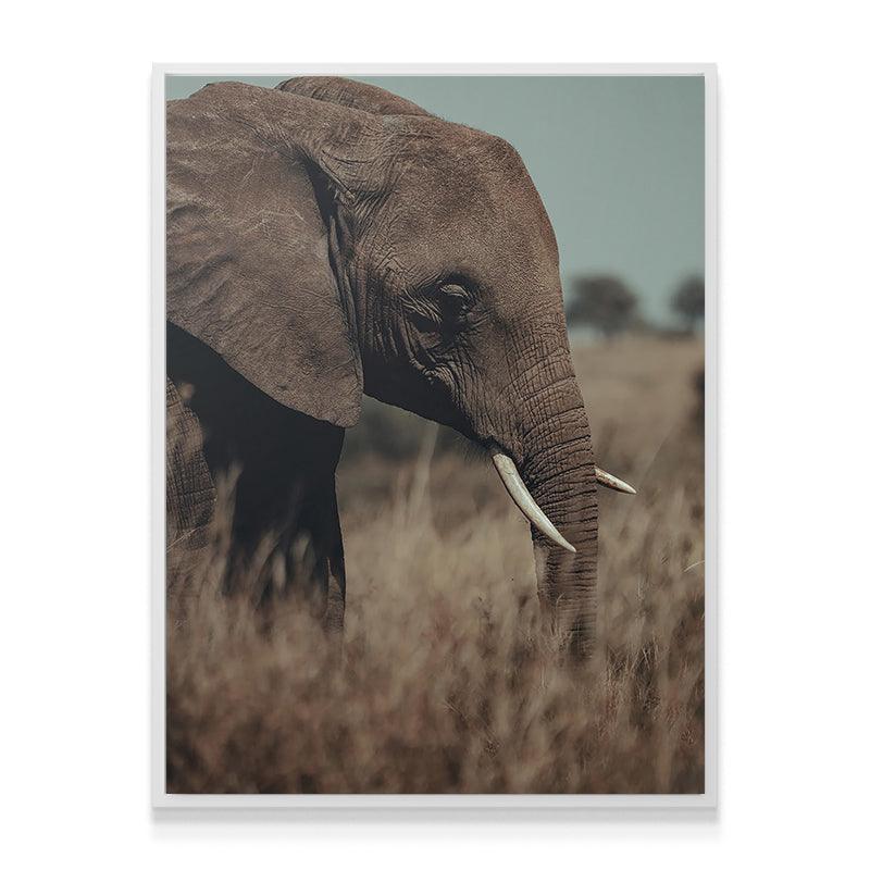A Tall Moment - Image 6