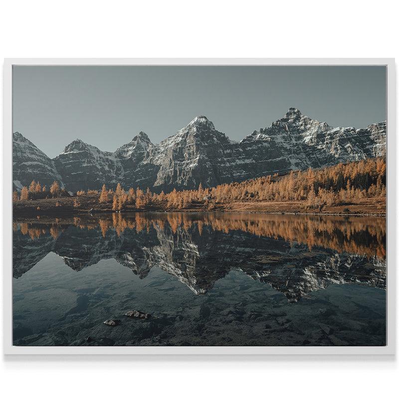 Above the Larches - Image 6