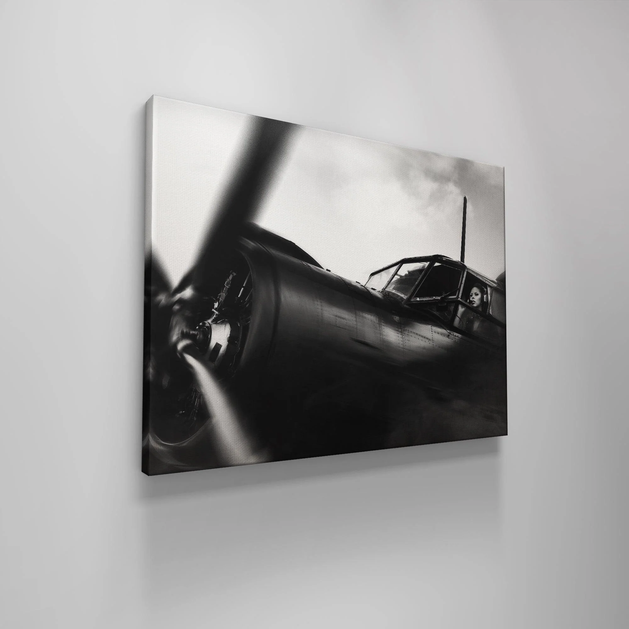 American Aviator - Image 4