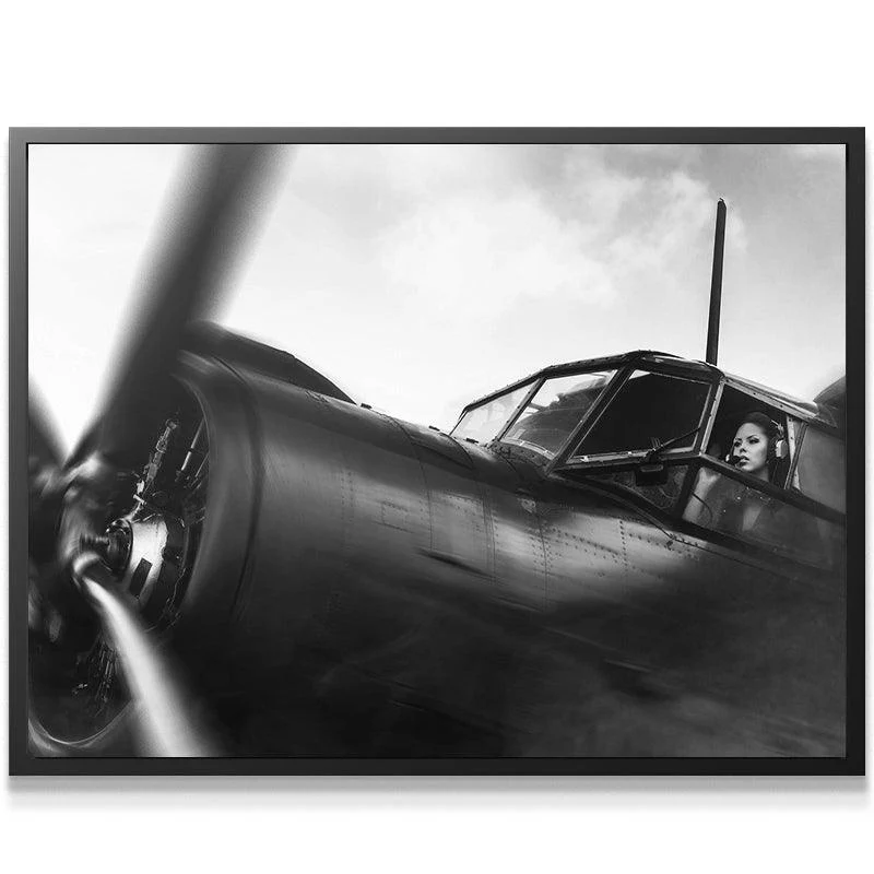 American Aviator - Image 5