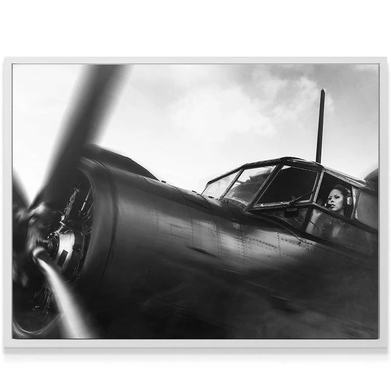 American Aviator - Image 6