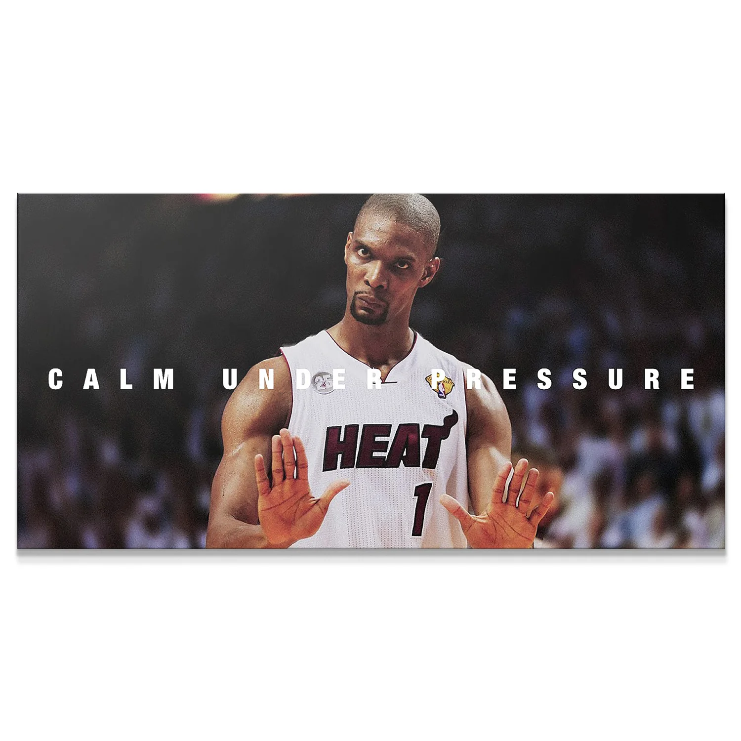 Chris Bosh - Calm - Image 2