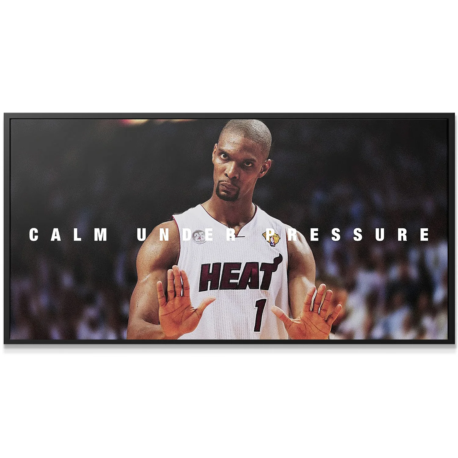 Chris Bosh - Calm - Image 3
