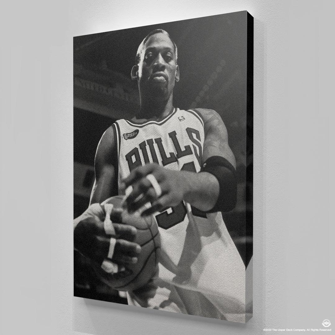 Dennis Rodman - Bullish - Image 6