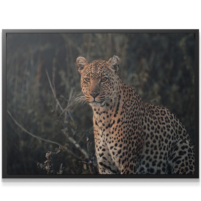 Eyes of Beauty - Image 5
