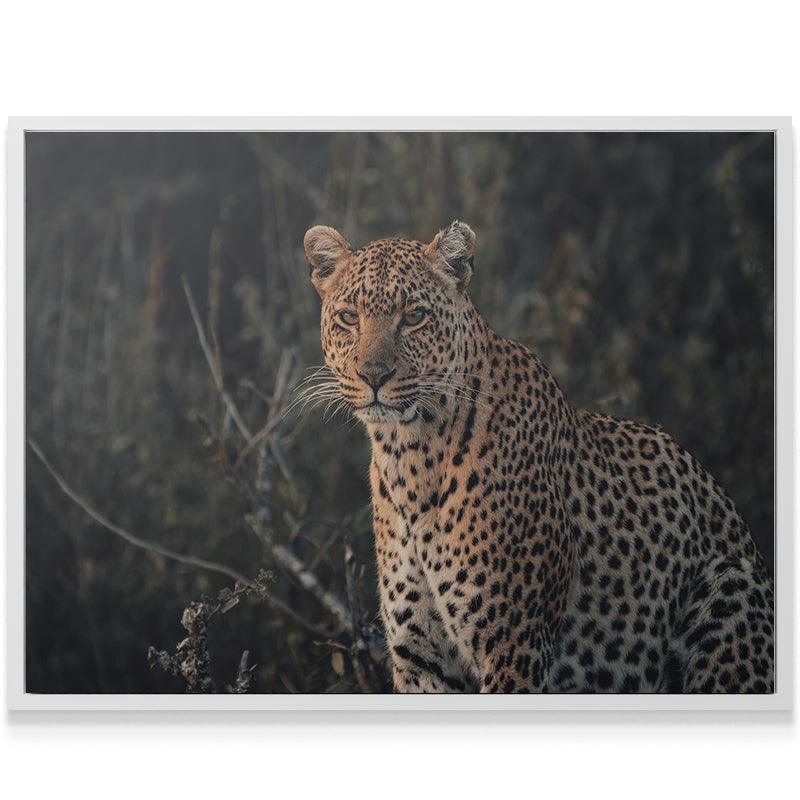 Eyes of Beauty - Image 6