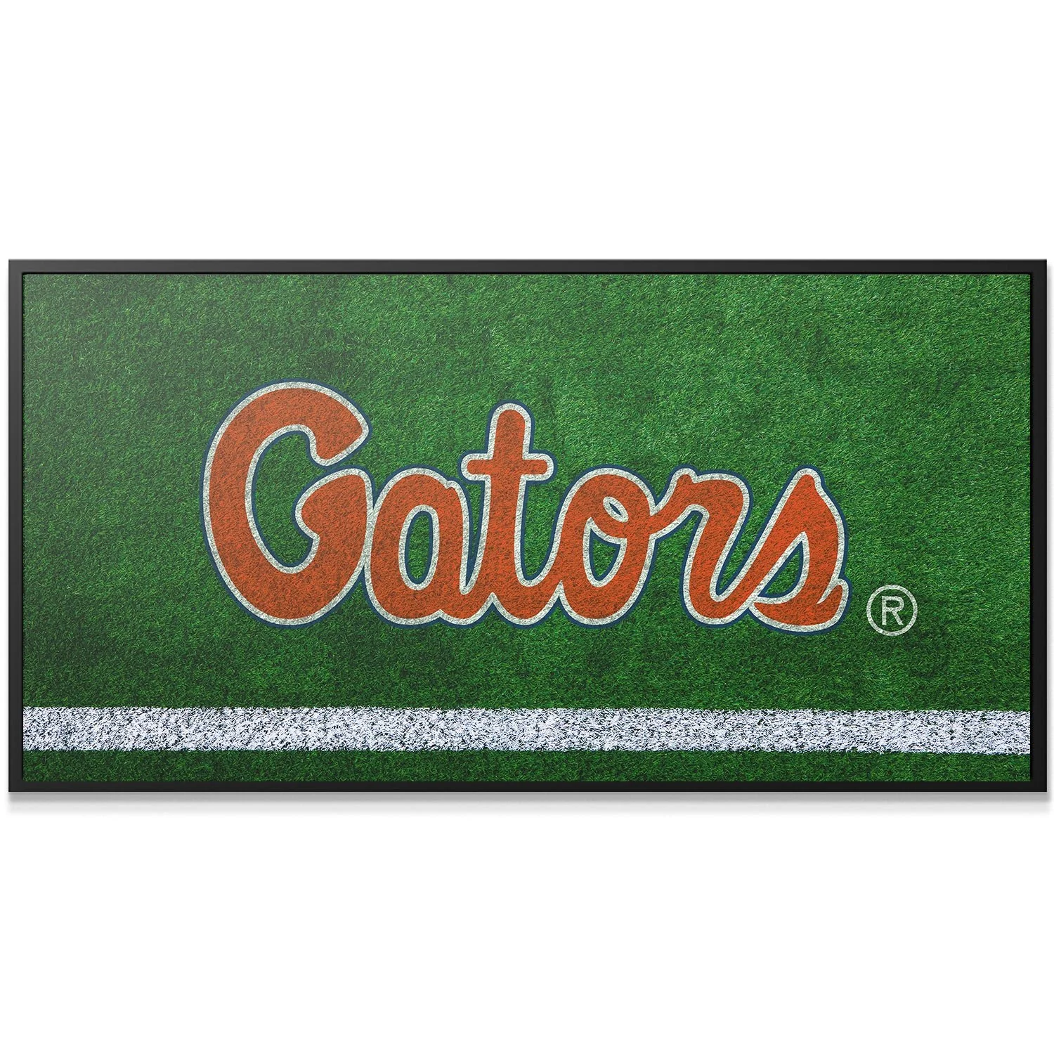 Florida - Field Logo - Image 3