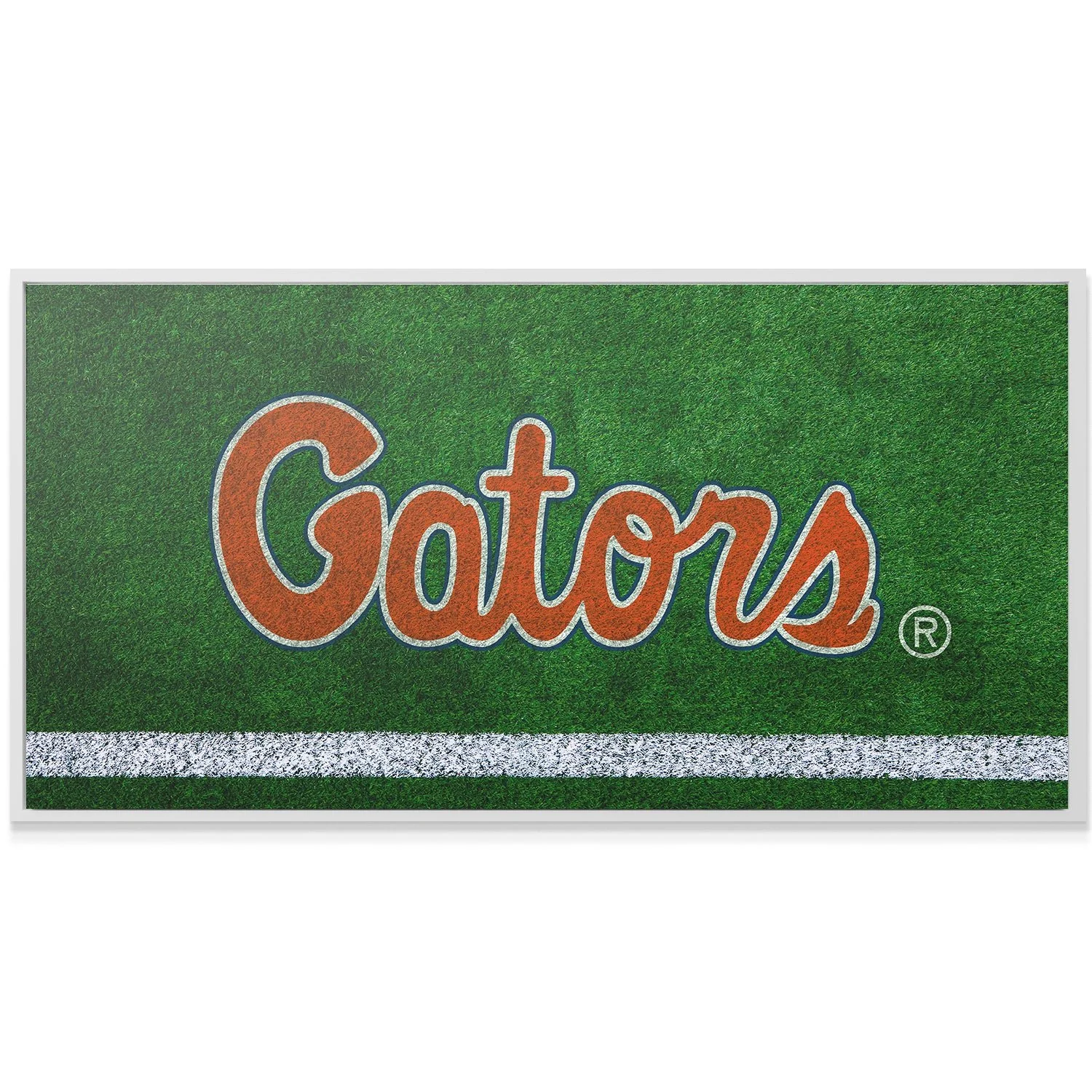 Florida - Field Logo - Image 4