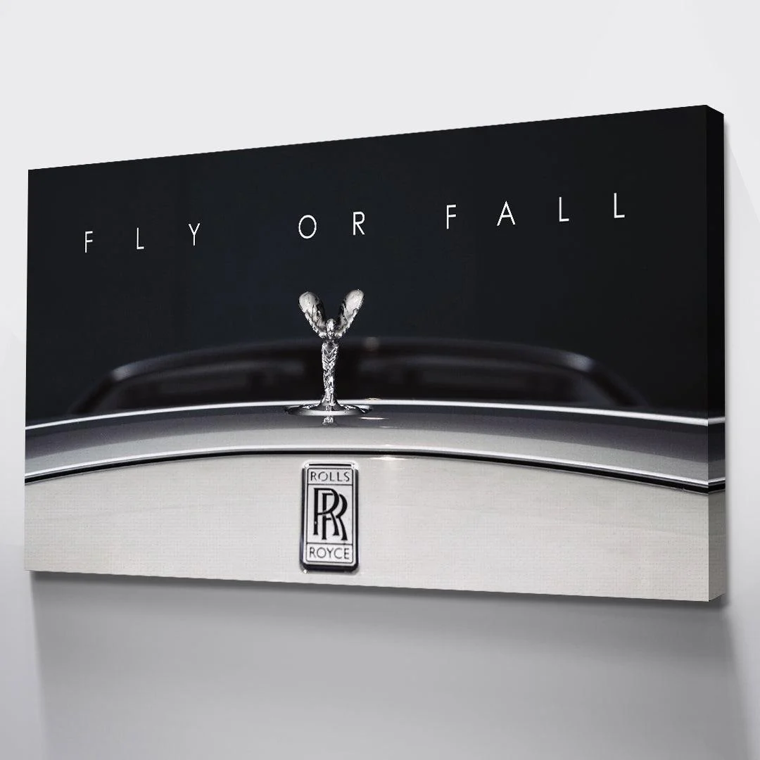 Fly Or Fall - Image 4