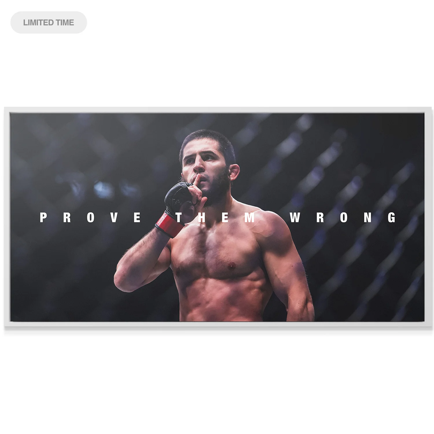 Islam Makhachev - Prove Them Wrong - Image 4