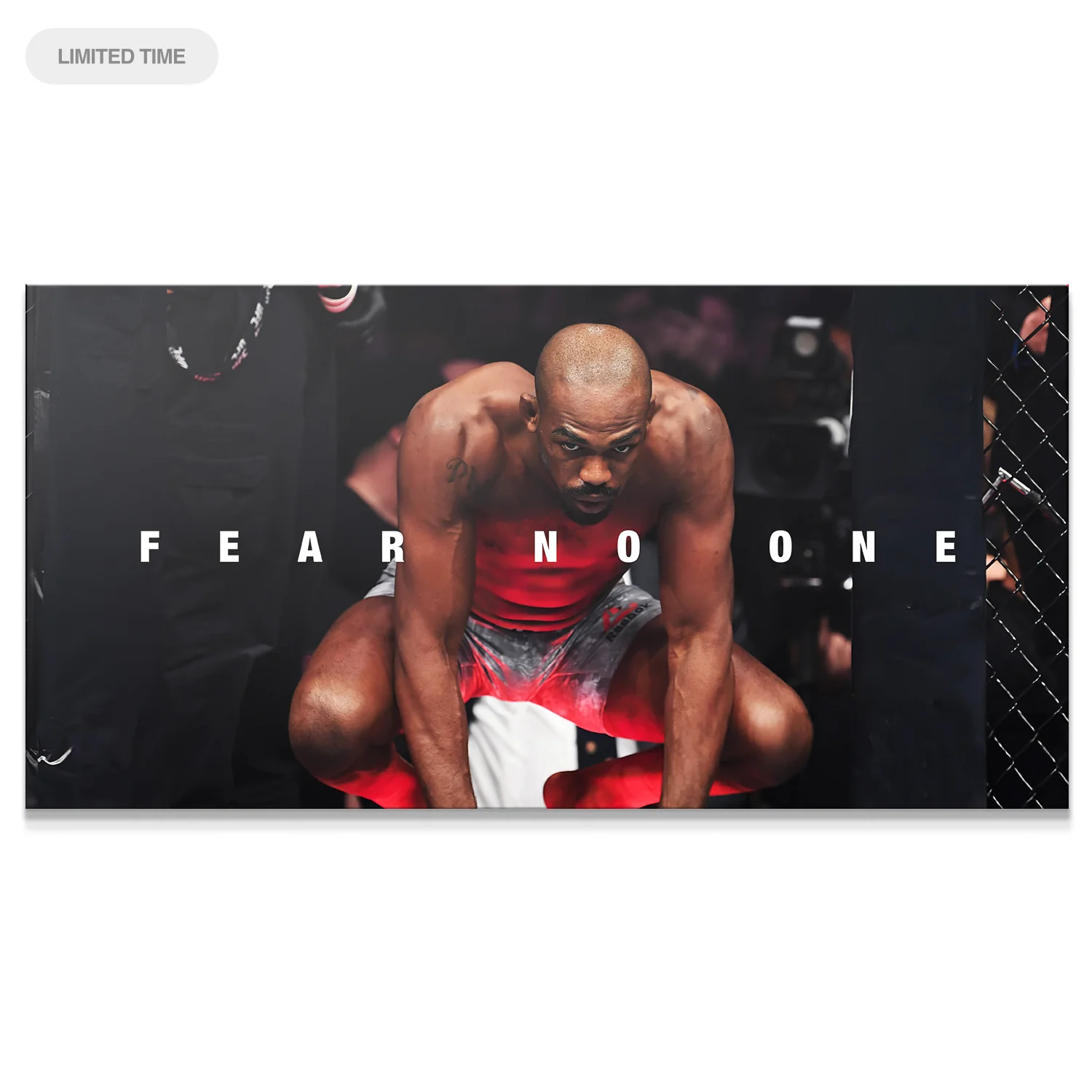 Jon Jones - Fear No One - Image 2