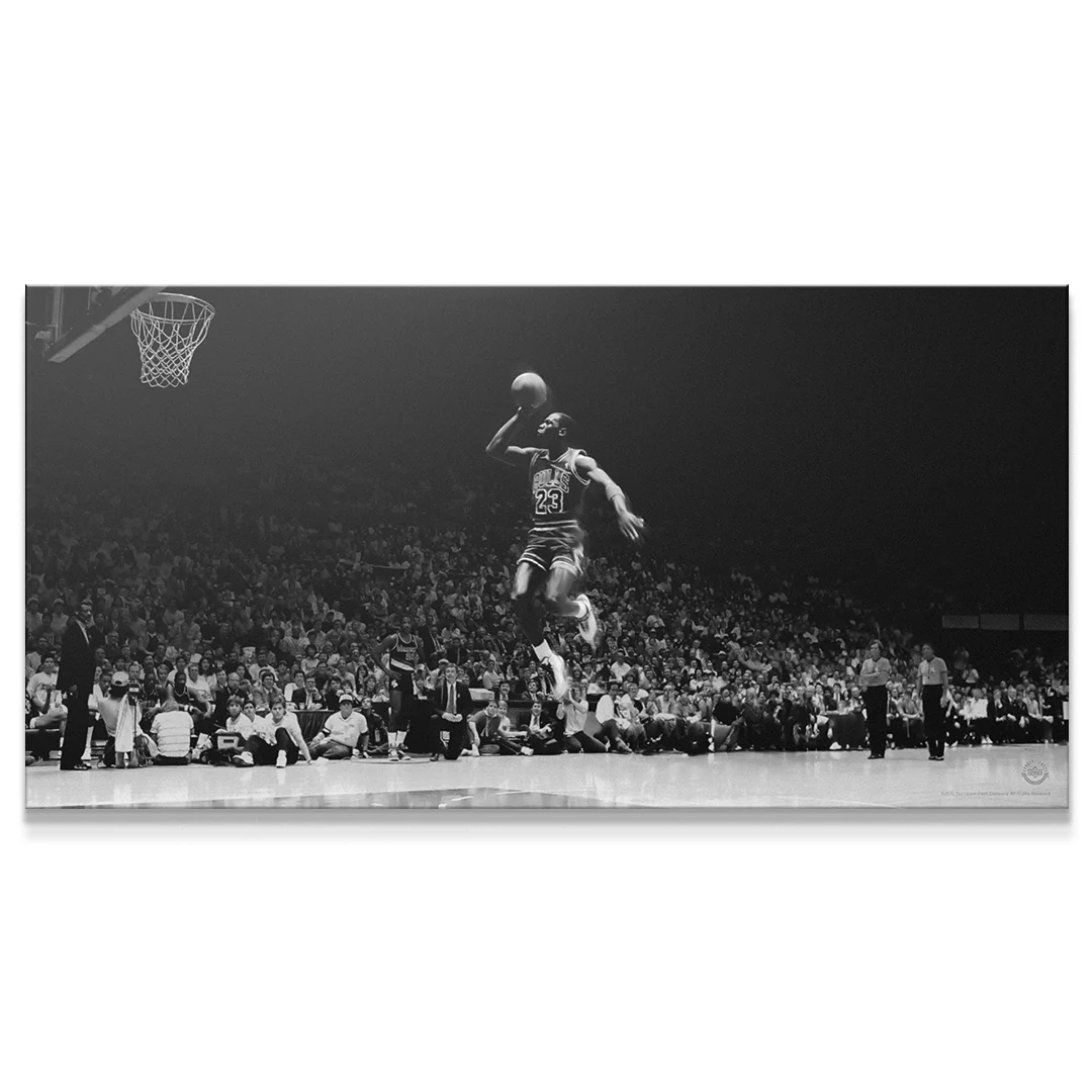 Michael Jordan - Elevation - Image 2