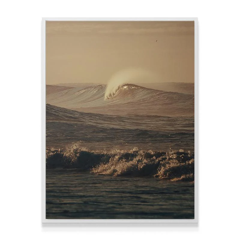Morning Curls - Image 6