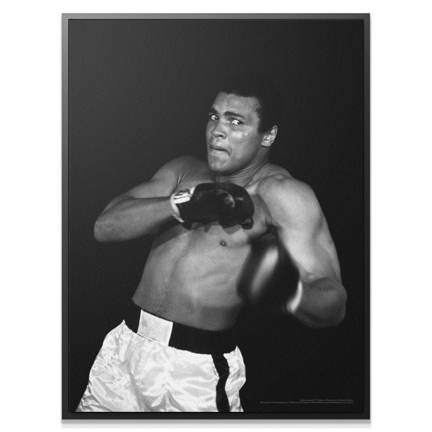 Muhammad Ali - Shadow - Image 5