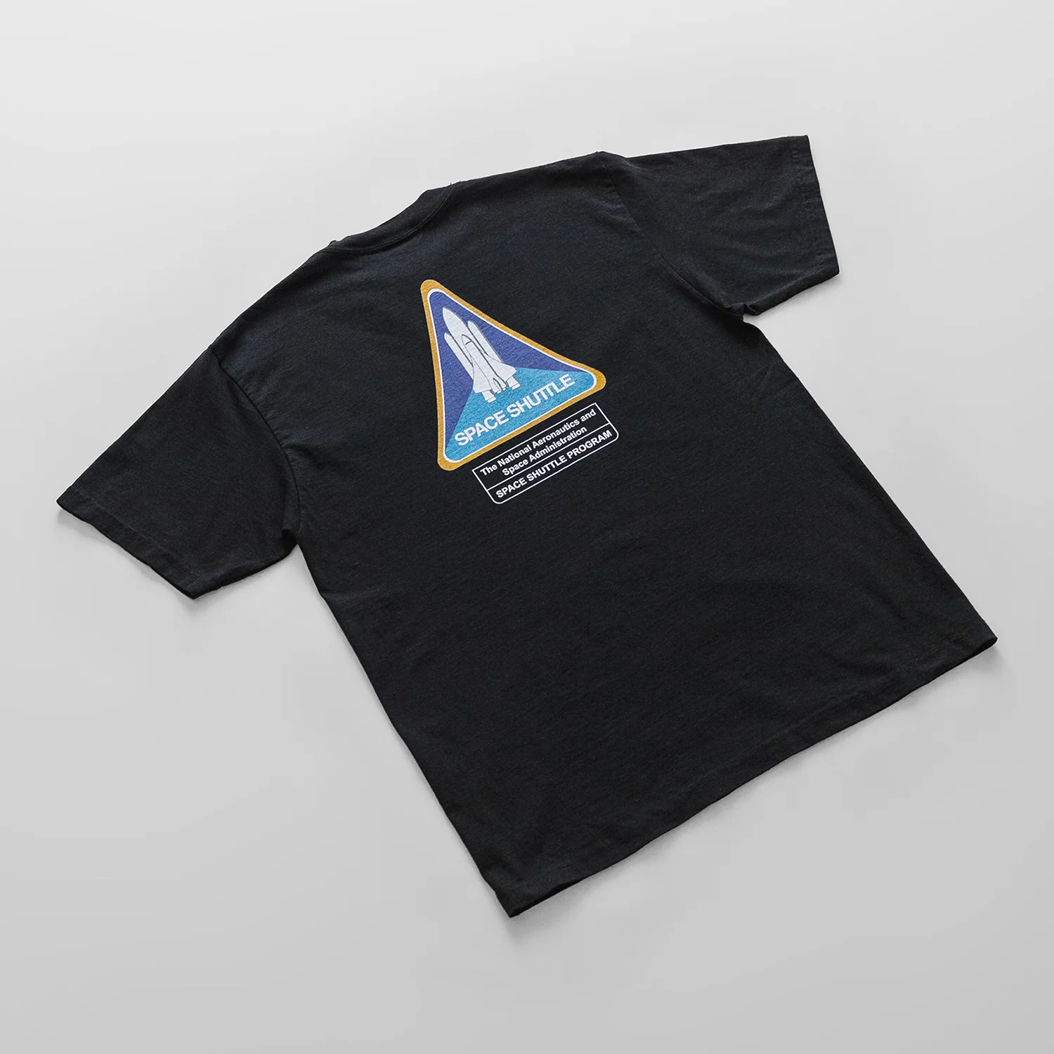 NASA - Program Status - Image 4