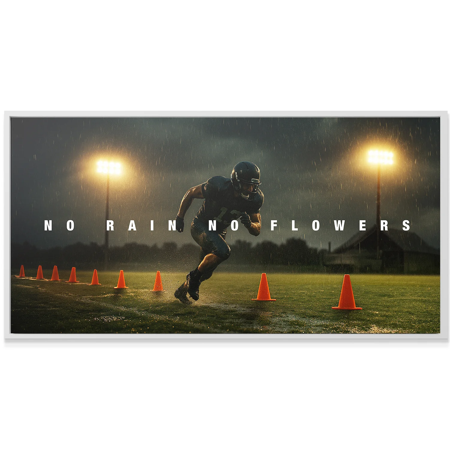 No Rain No Flowers - Image 4