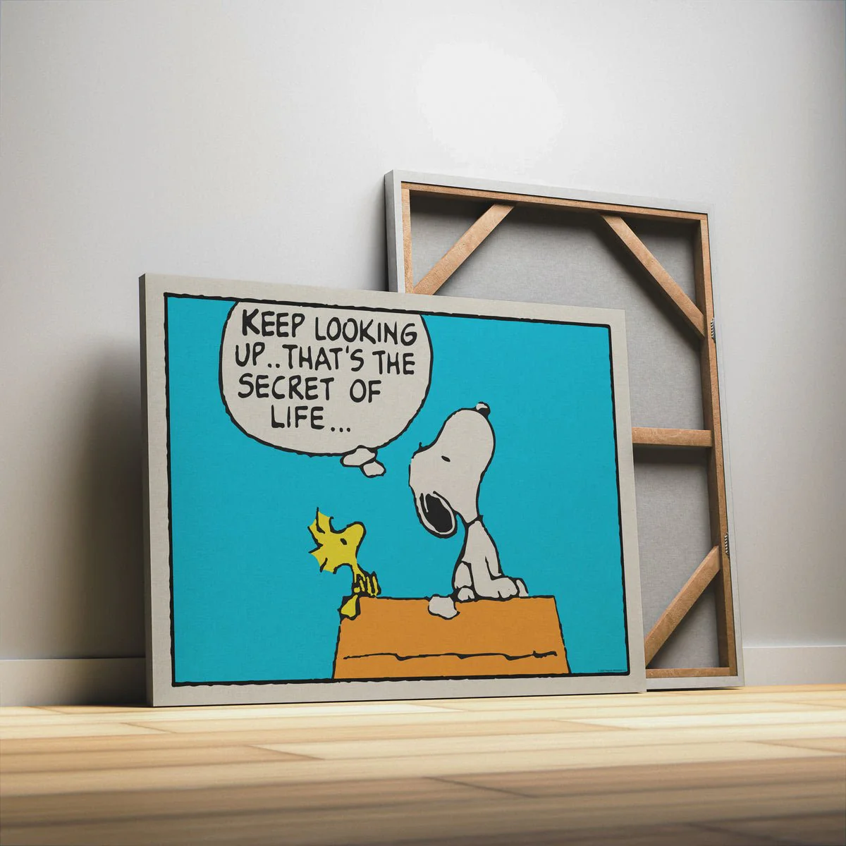 PEANUTS - Keep Looking Up - Image 3