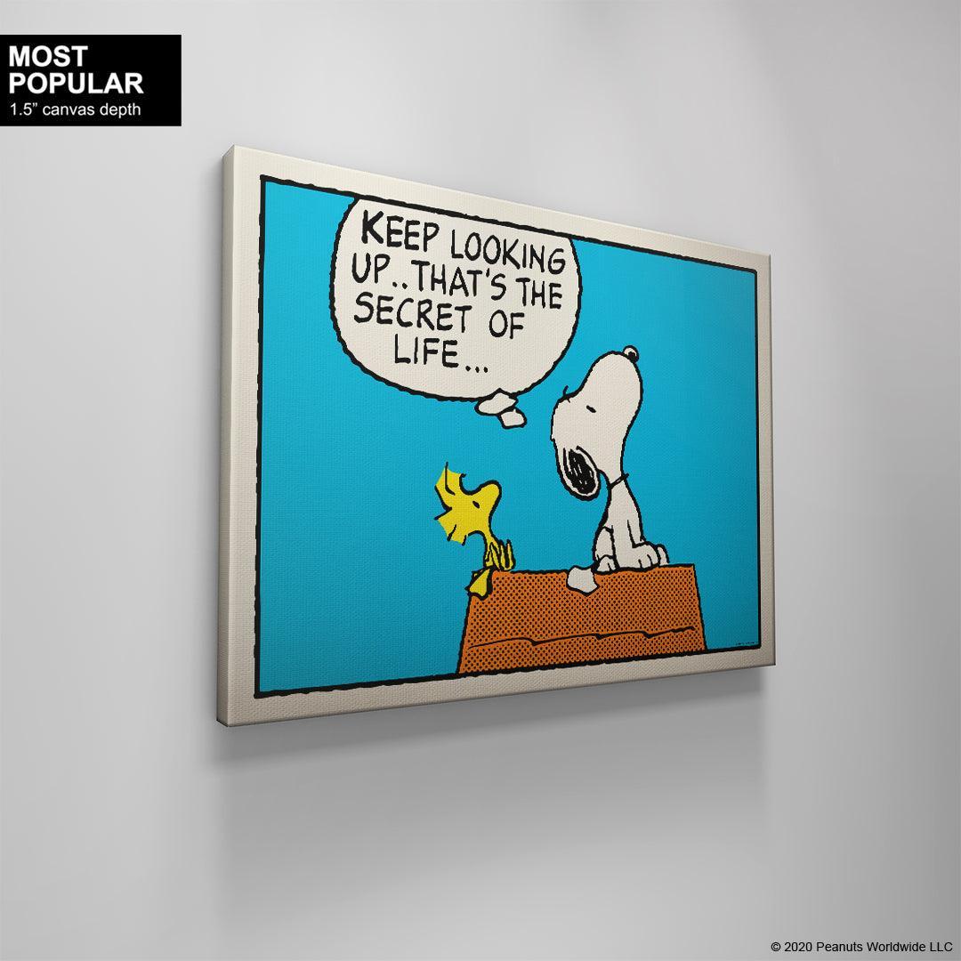 PEANUTS - Keep Looking Up - Image 4