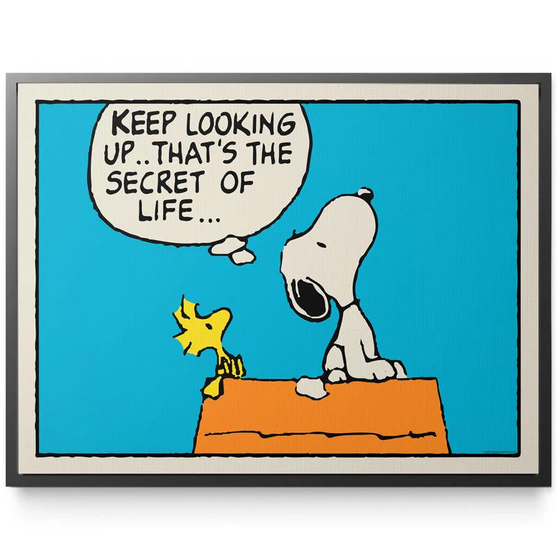 PEANUTS - Keep Looking Up - Image 5
