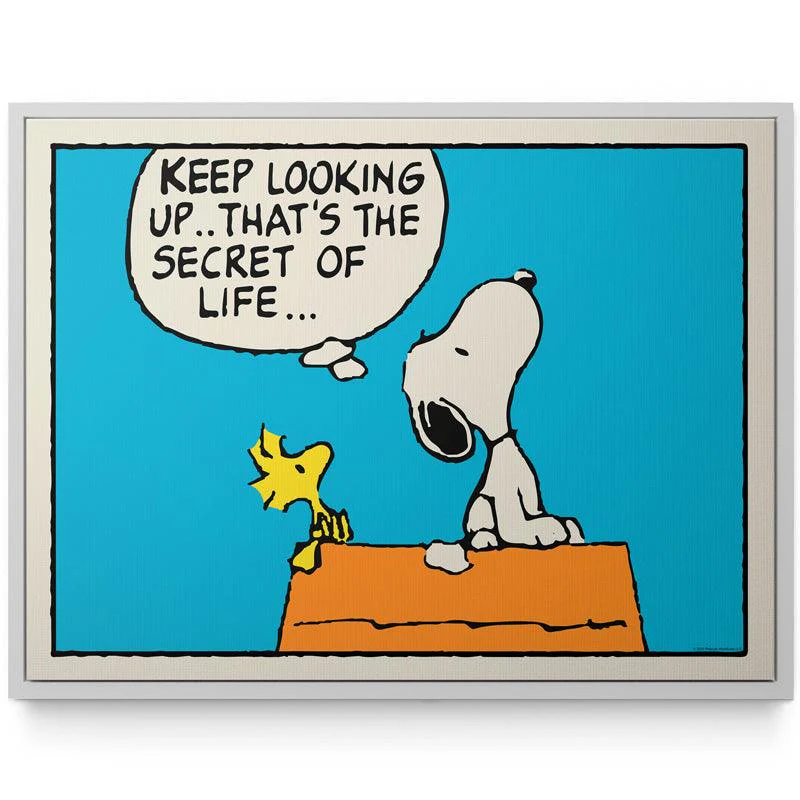 PEANUTS - Keep Looking Up - Image 6