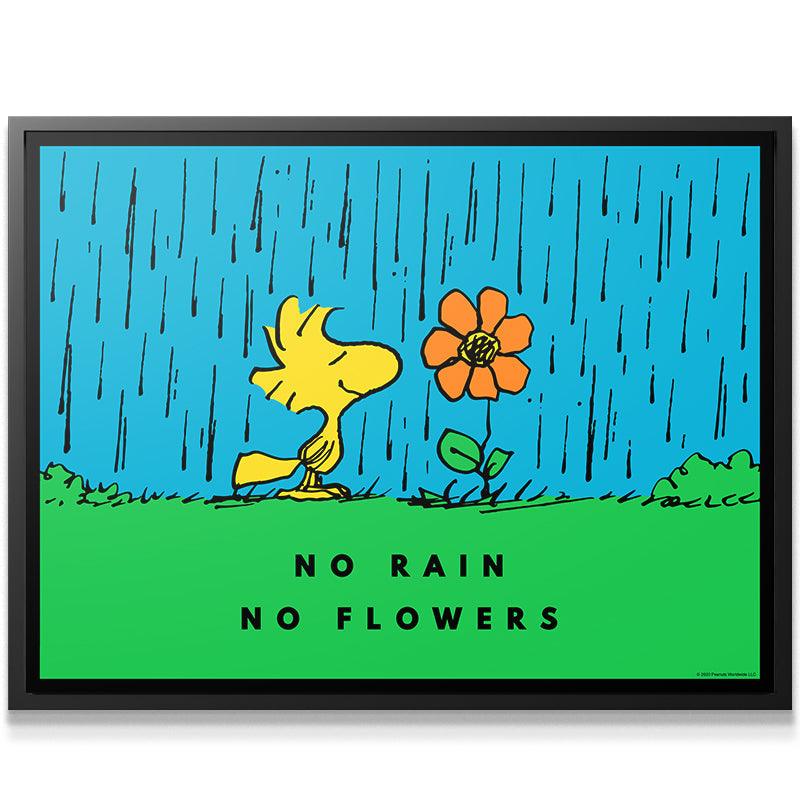 PEANUTS - No Rain No Flowers - Image 4