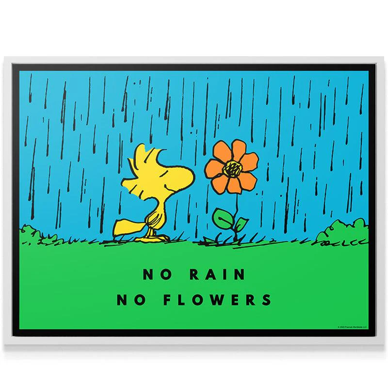 PEANUTS - No Rain No Flowers - Image 5