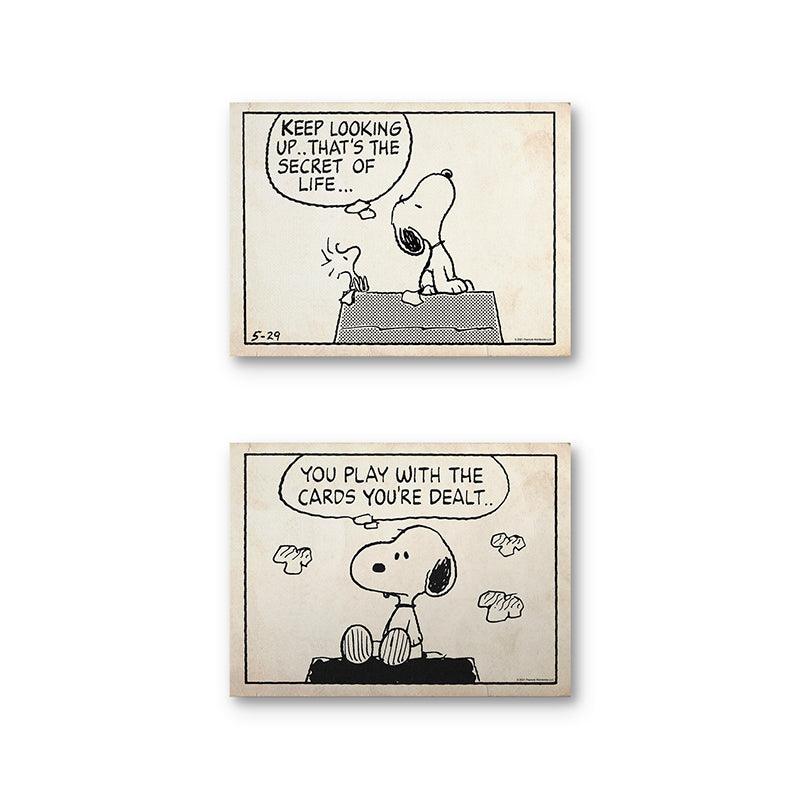 Peanuts Optimism Set - Sketch - Image 4