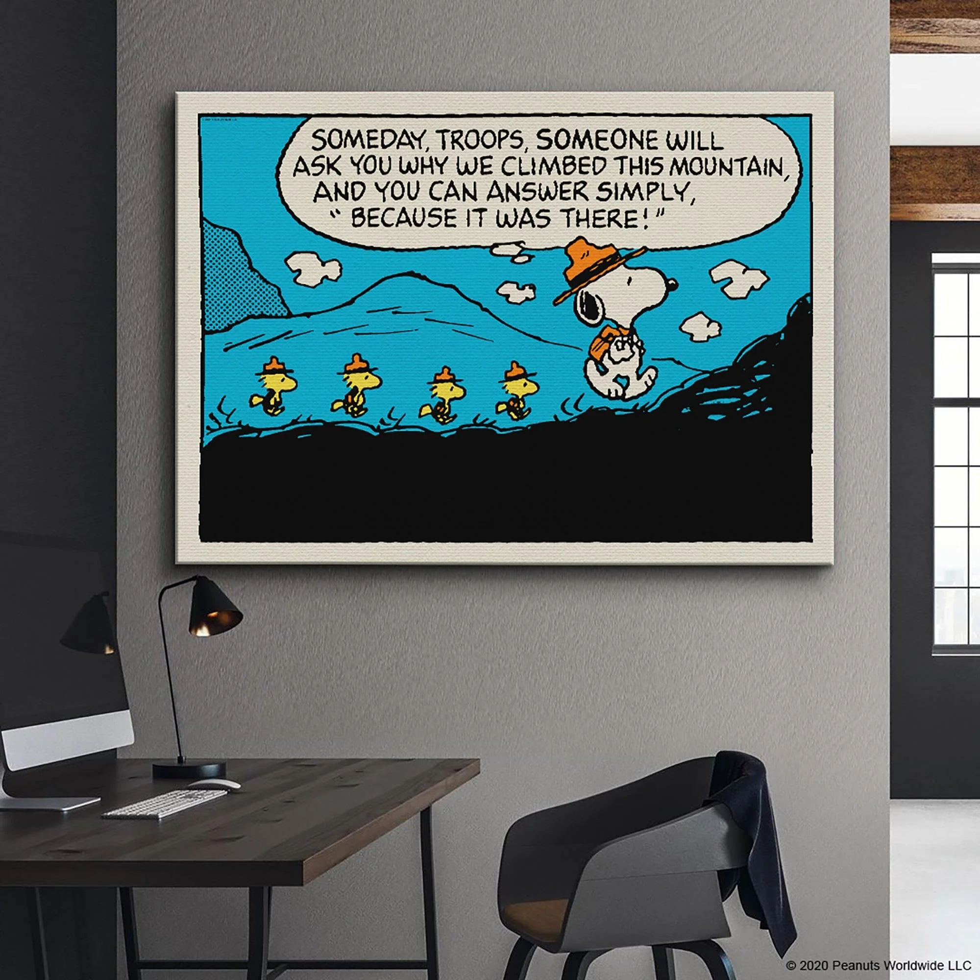 PEANUTS - The Mountain - Image 3