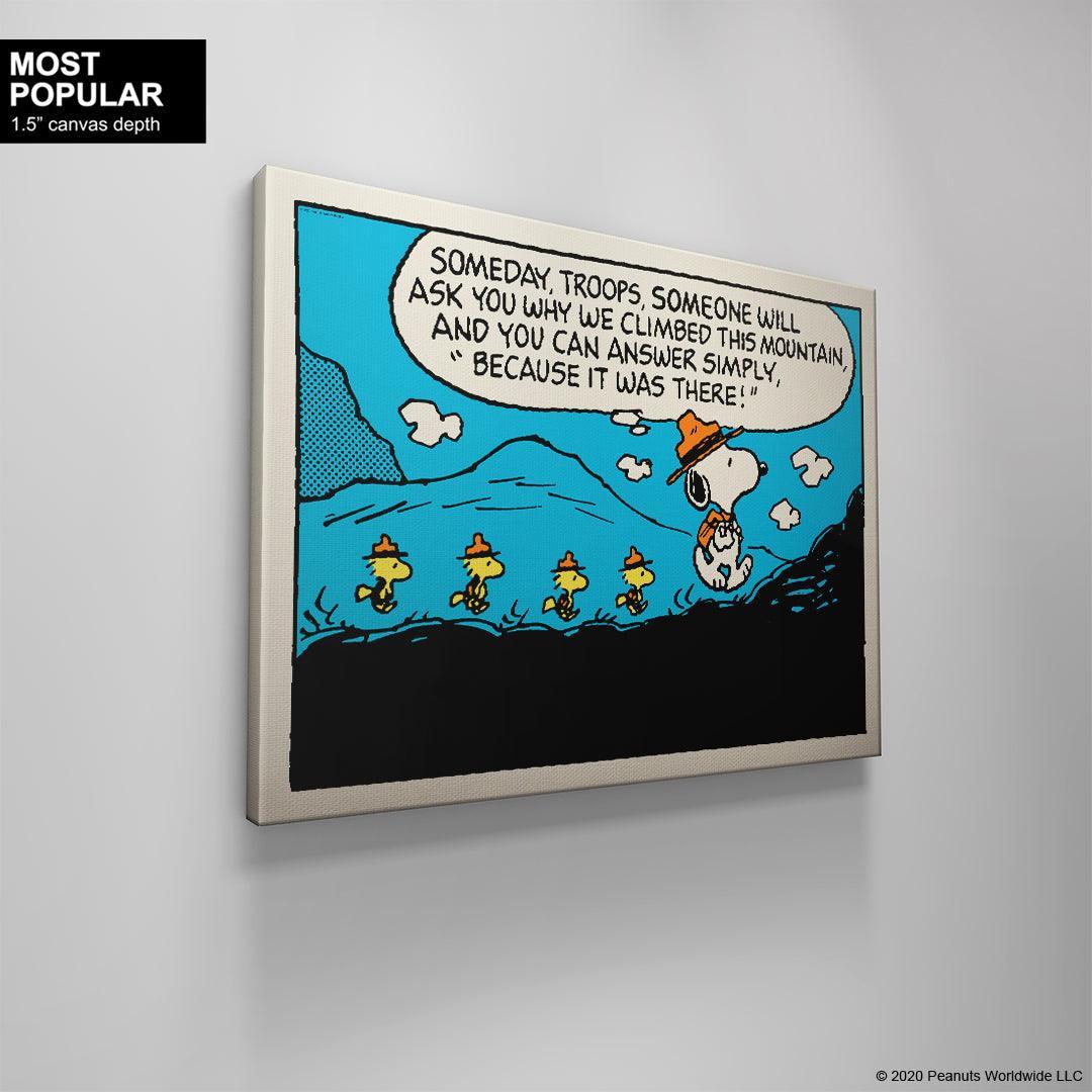 PEANUTS - The Mountain - Image 4