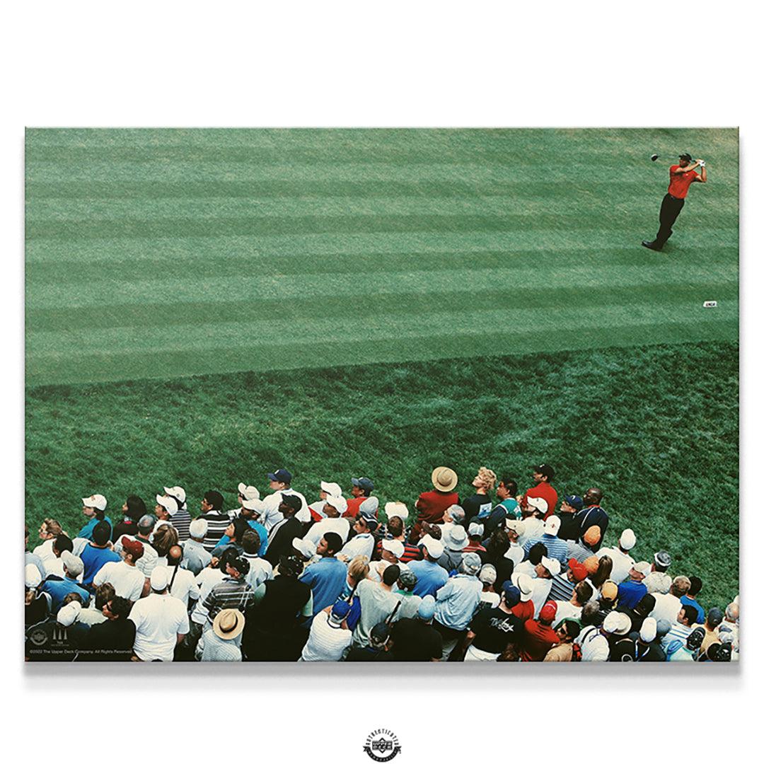 Tiger Woods - Distance - Image 2