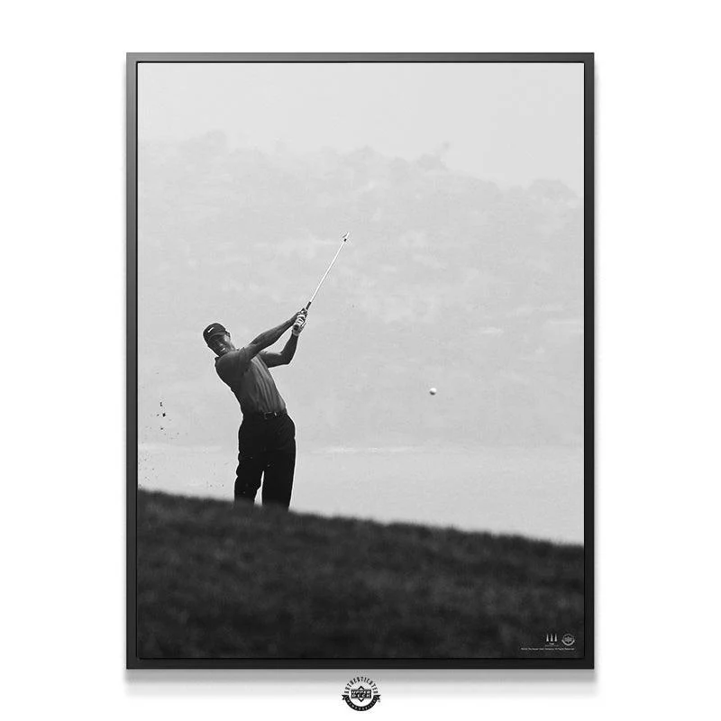 Tiger Woods - Fore - Image 5