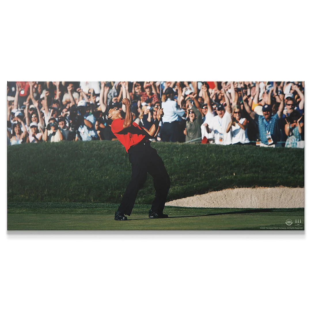 Tiger Woods - Give Everything - Image 9