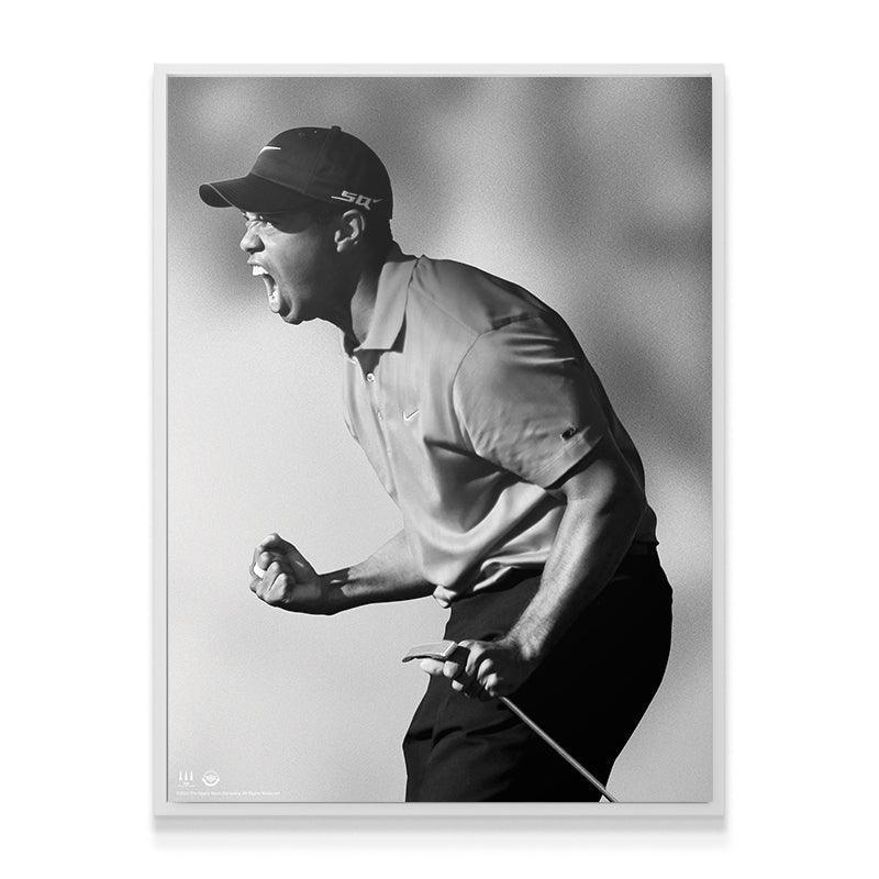 Tiger Woods - Roar - Image 7