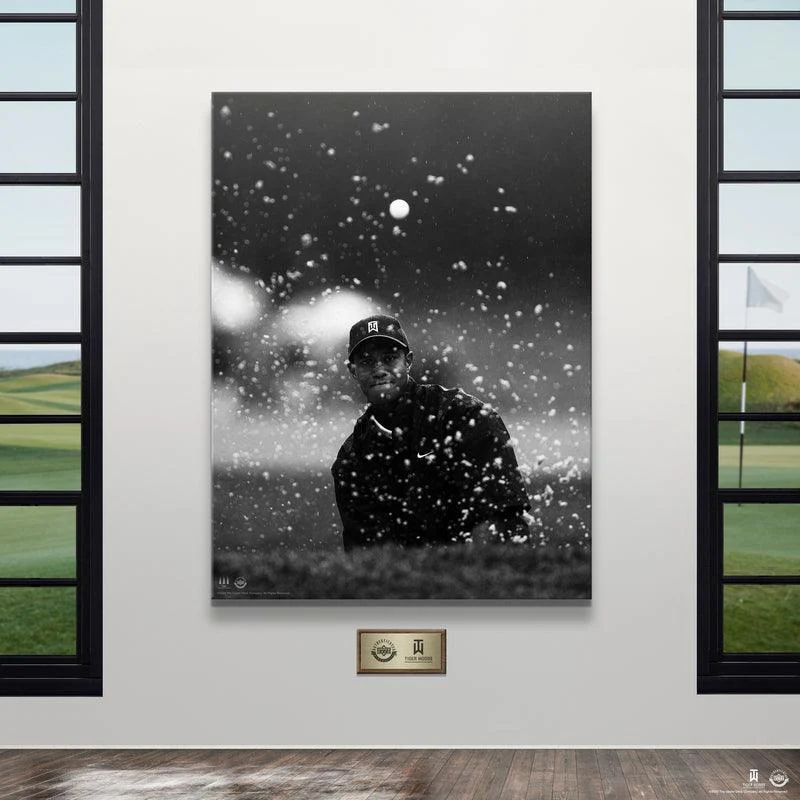 Tiger Woods - Splash - Image 3