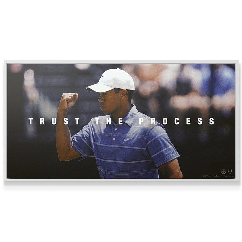 Tiger Woods - Trust the Process - Image 7